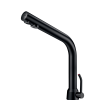 Delabie Black Binoptic