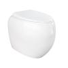 RAK Cloud Rimless Wall Faced Toilet Pan